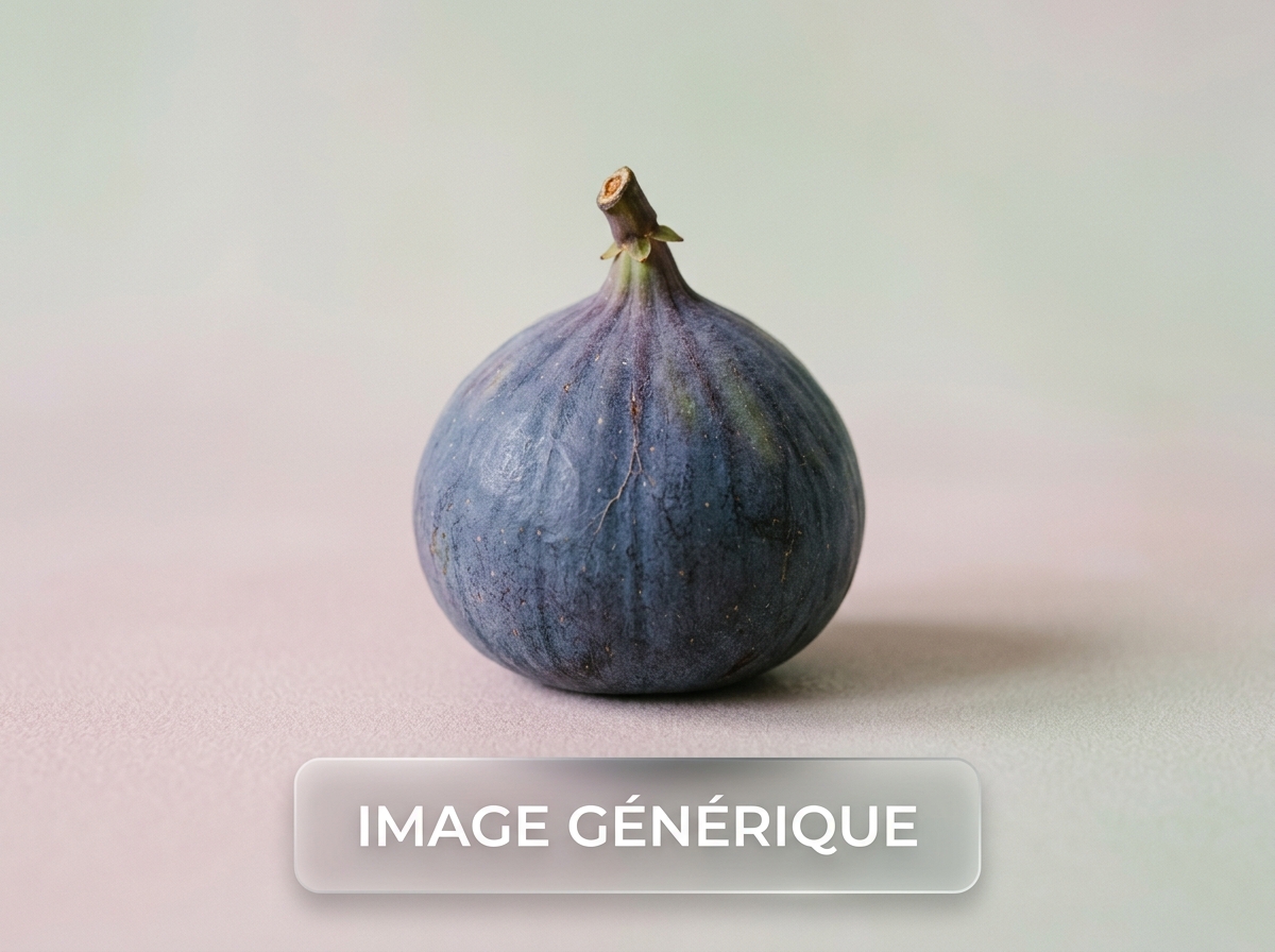 Image générique — A Sangue