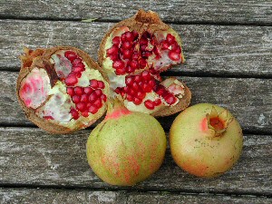 Seedless